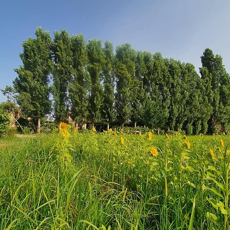 شقة Fattoria Il Giardo بيتراسانتا المظهر الخارجي الصورة