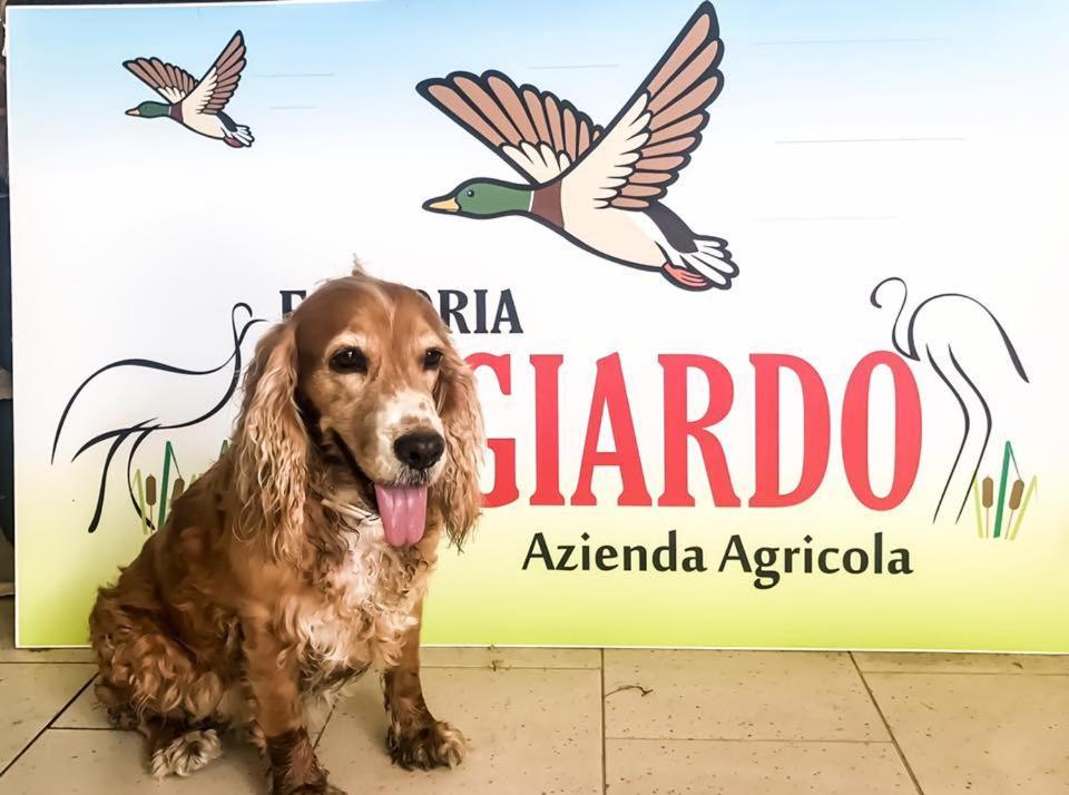 شقة Fattoria Il Giardo بيتراسانتا المظهر الخارجي الصورة