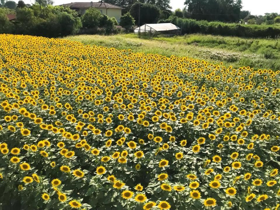 شقة Fattoria Il Giardo بيتراسانتا المظهر الخارجي الصورة