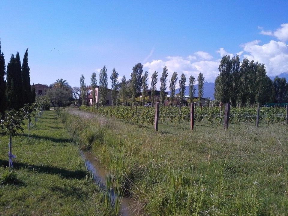 شقة Fattoria Il Giardo بيتراسانتا المظهر الخارجي الصورة