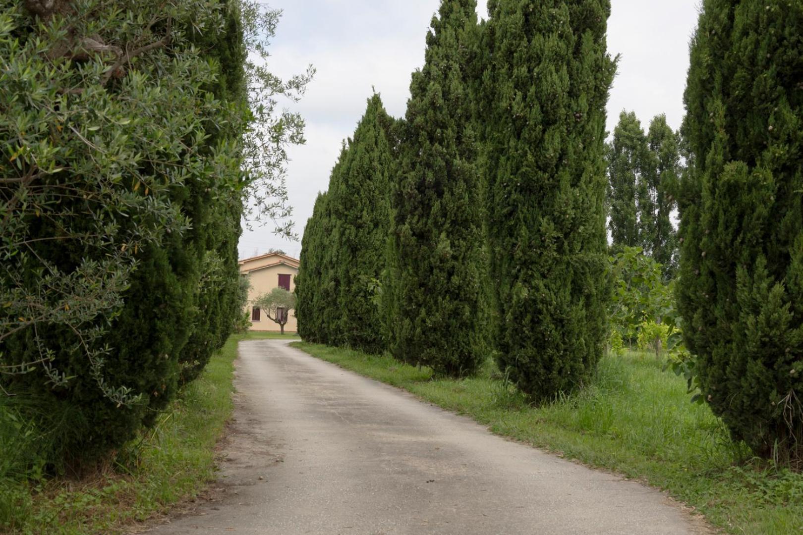 شقة Fattoria Il Giardo بيتراسانتا المظهر الخارجي الصورة