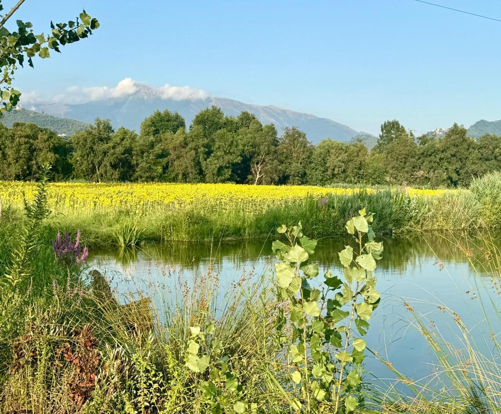 شقة Fattoria Il Giardo بيتراسانتا المظهر الخارجي الصورة