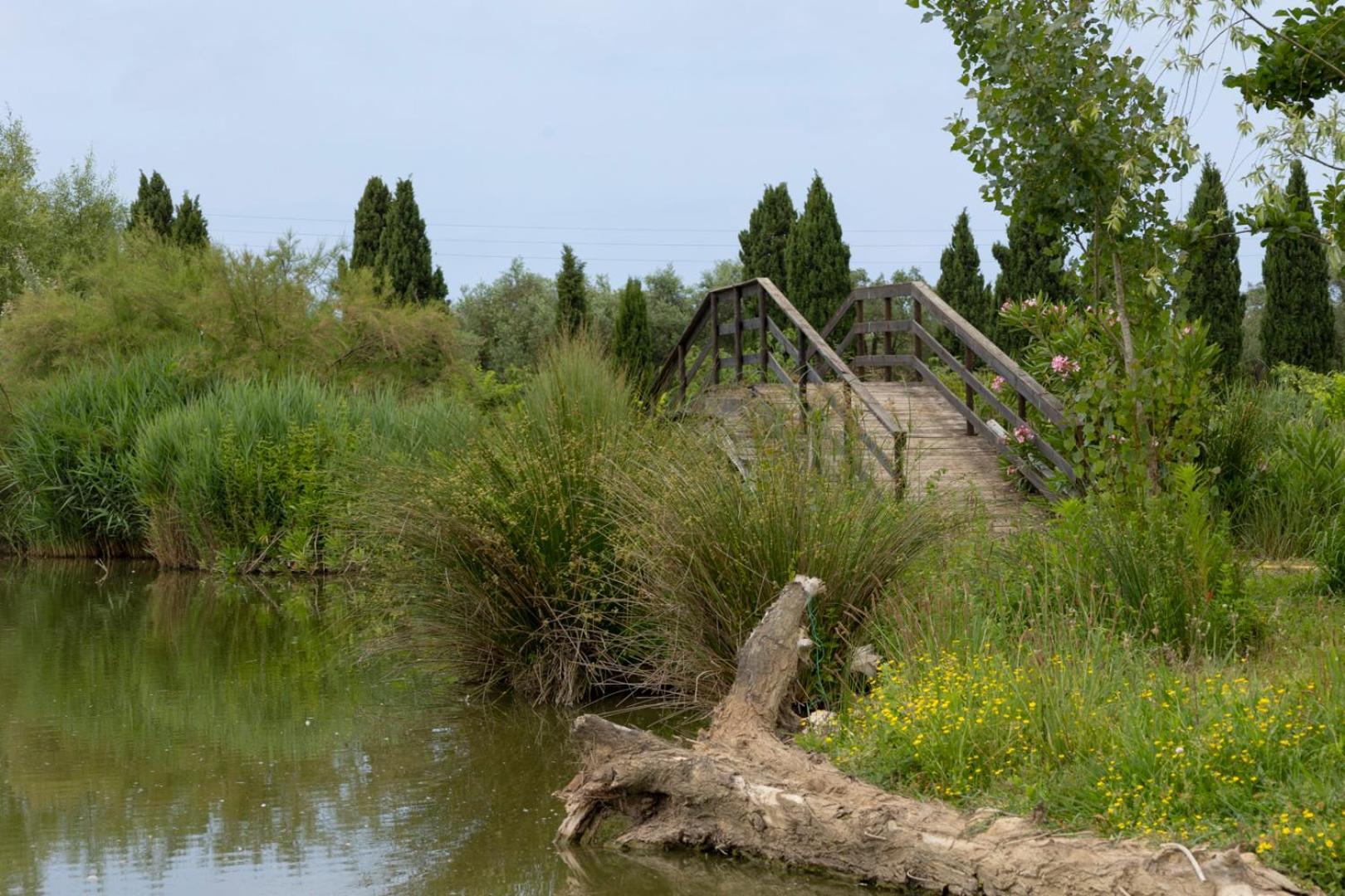 شقة Fattoria Il Giardo بيتراسانتا المظهر الخارجي الصورة