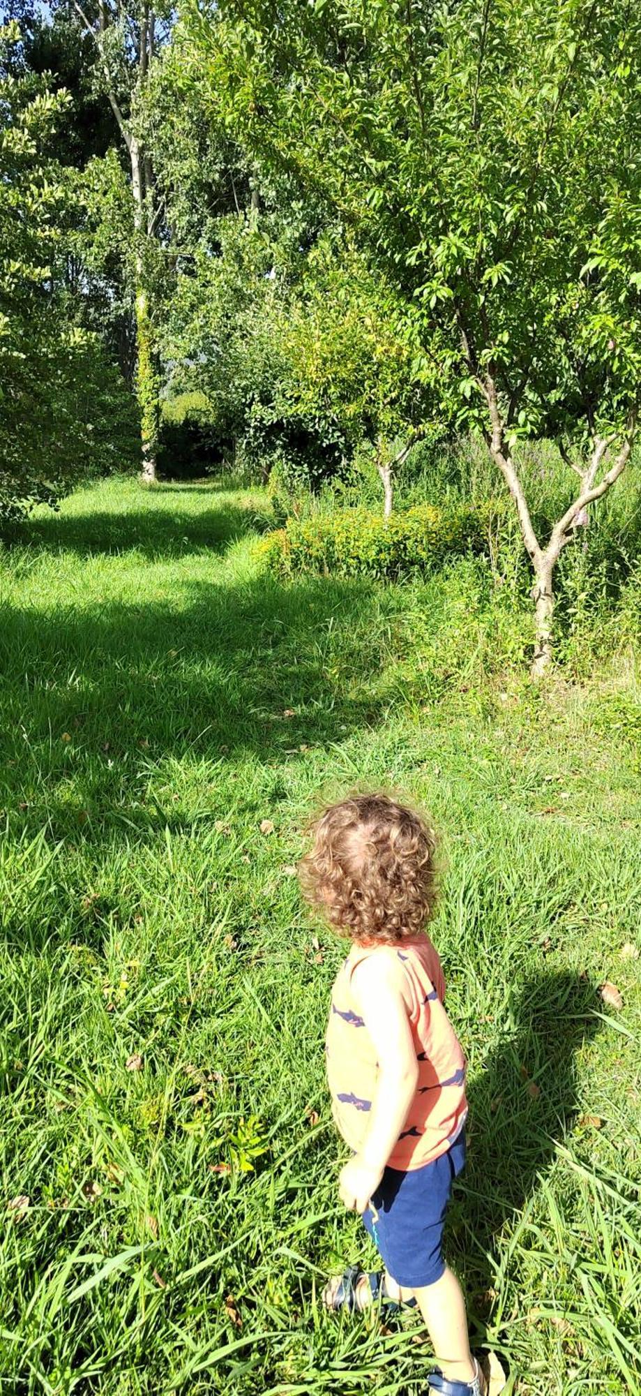 شقة Fattoria Il Giardo بيتراسانتا المظهر الخارجي الصورة