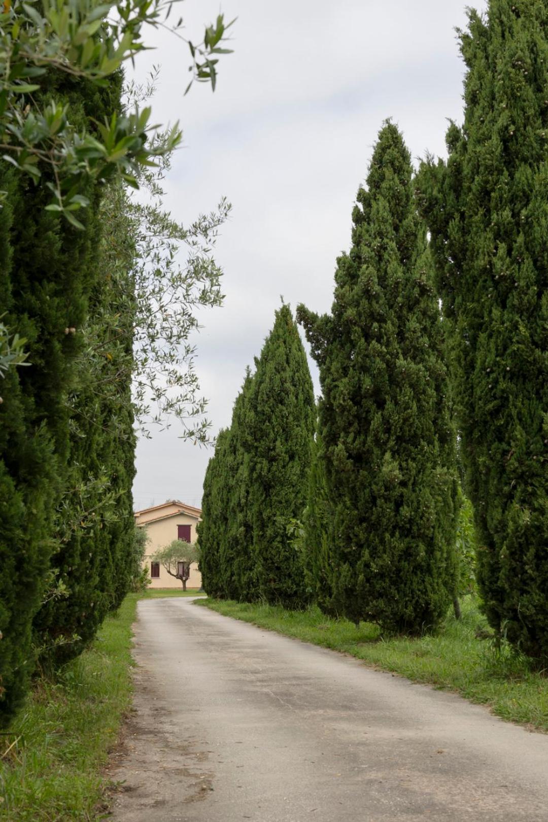 شقة Fattoria Il Giardo بيتراسانتا المظهر الخارجي الصورة