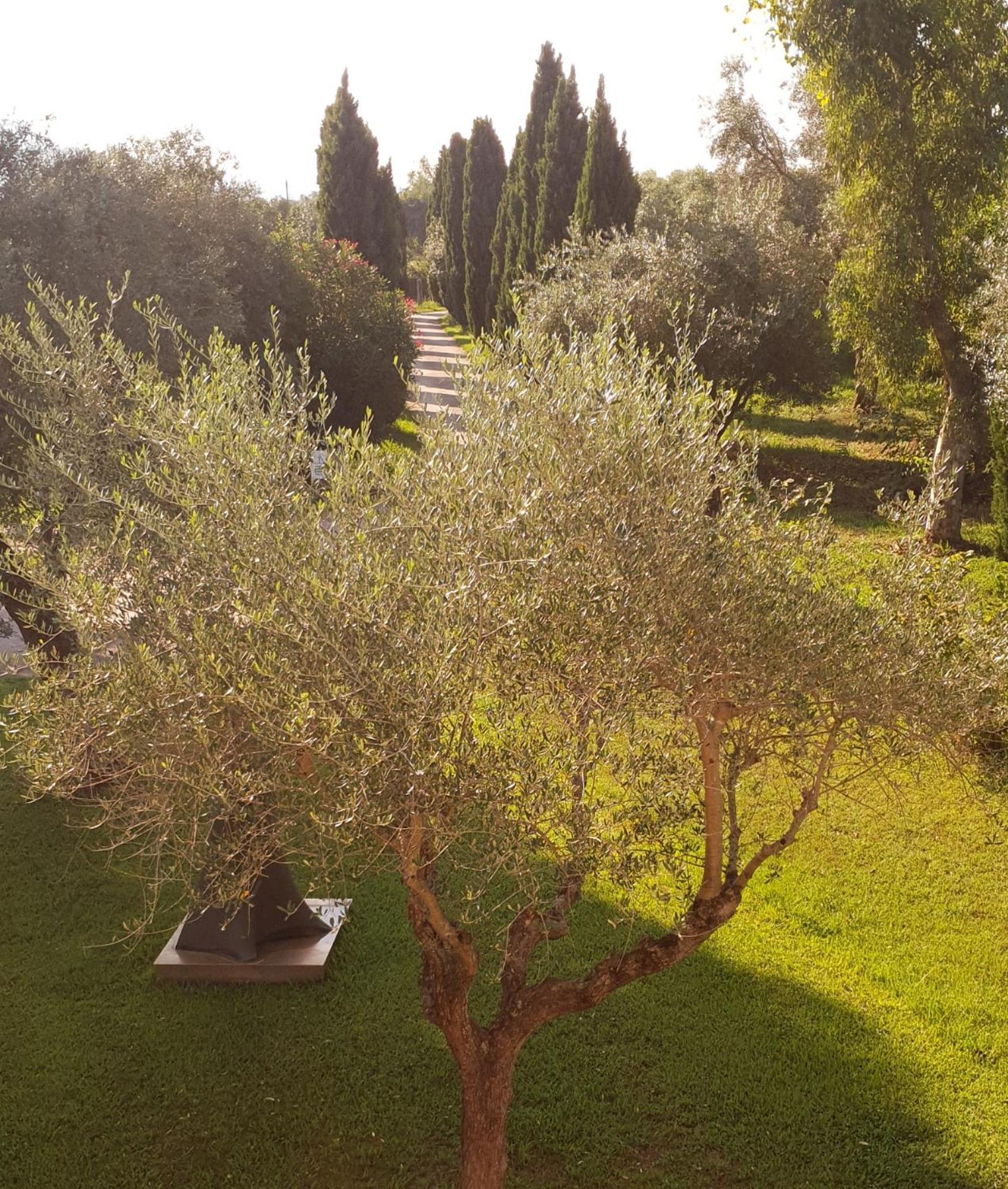 شقة Fattoria Il Giardo بيتراسانتا المظهر الخارجي الصورة