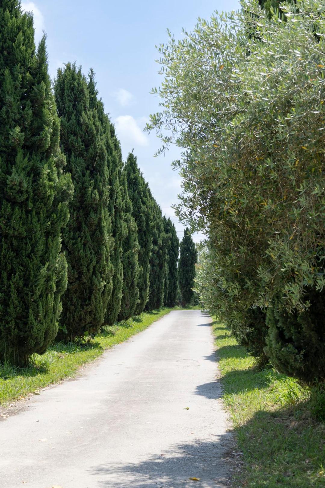 شقة Fattoria Il Giardo بيتراسانتا المظهر الخارجي الصورة
